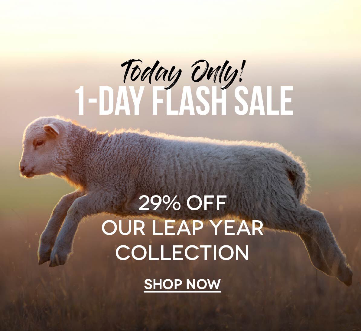 29% OFF Leap Year Flash Sale