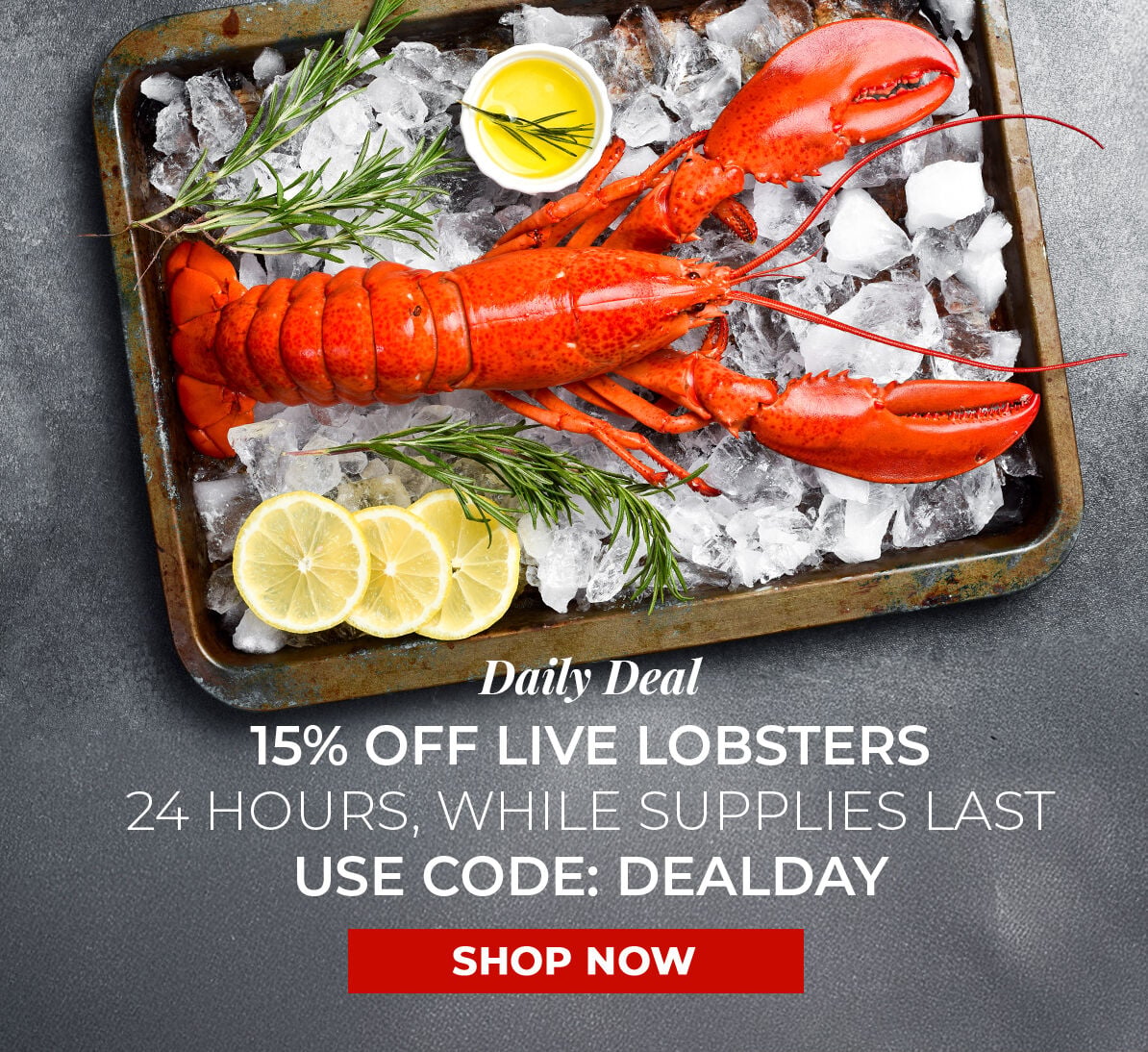 Daily Deal. 15% off Live Lobsters.. 24 Hours, While Supplies Last. Use Code DEALDAY.