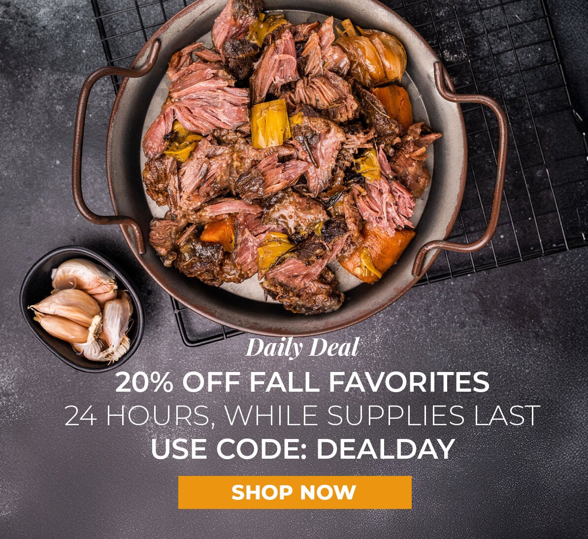 Daily Deal. 20% off Fall Favorites. 24 Hours, While Supplies Last. Use Code DEALDAY.