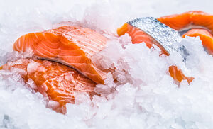 Fresh vs. Frozen Fish: Which is Best?