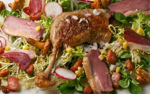 Ariane’s Gascon Salad with Duck
