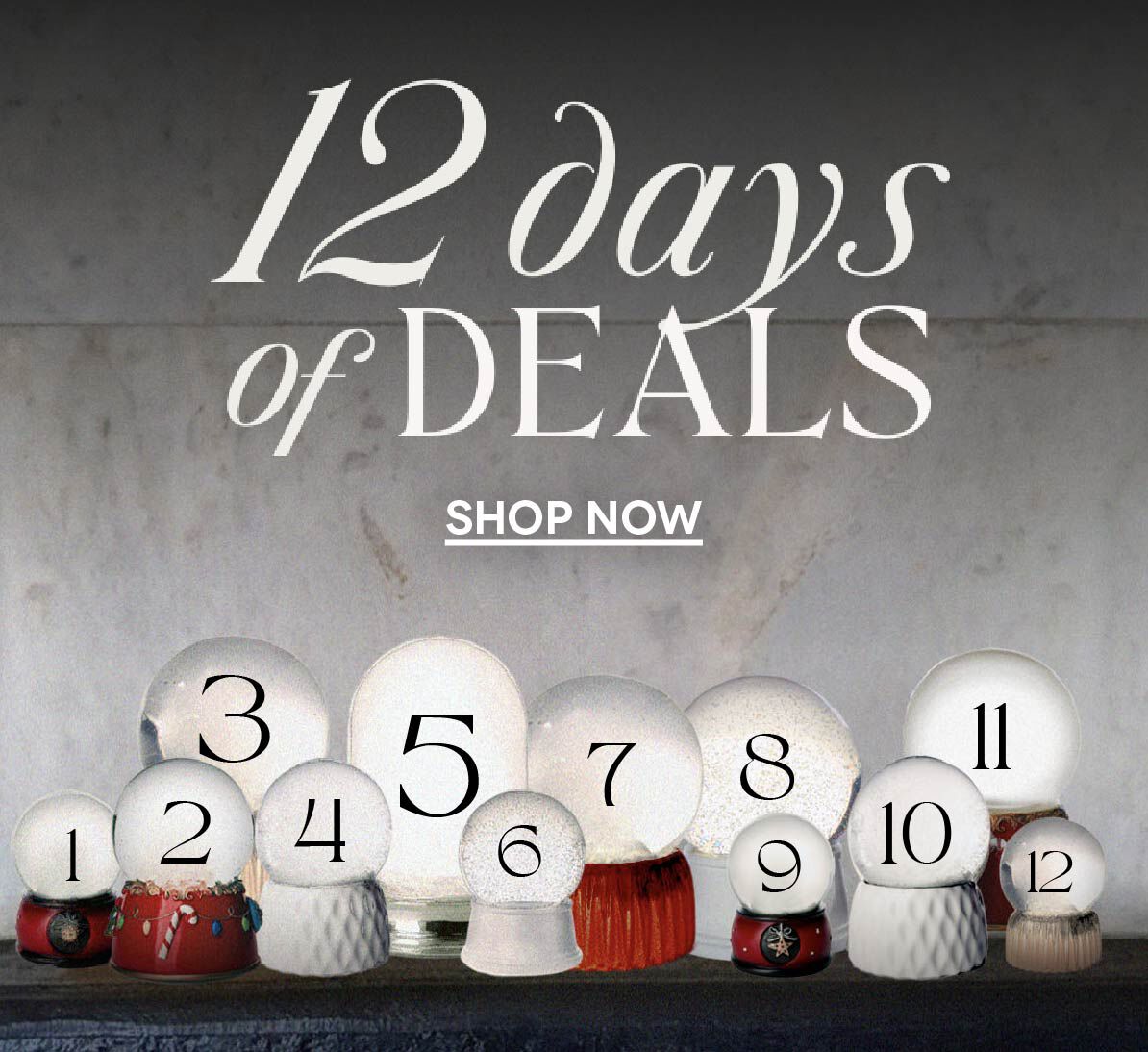 Shop the 12 days of Deals