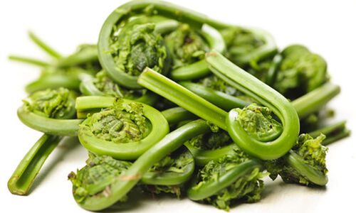 Seasonal Greens: Fiddlehead Ferns- Our Products – Dartagnan.com