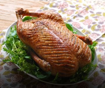 Shop Rohan Duck