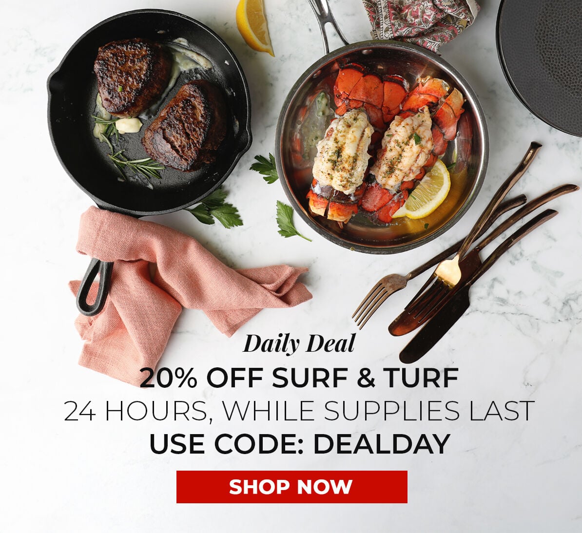 Daily Deal. 20% off Surf & Turf. 24 Hours, While Supplies Last. Use Code DEALDAY.