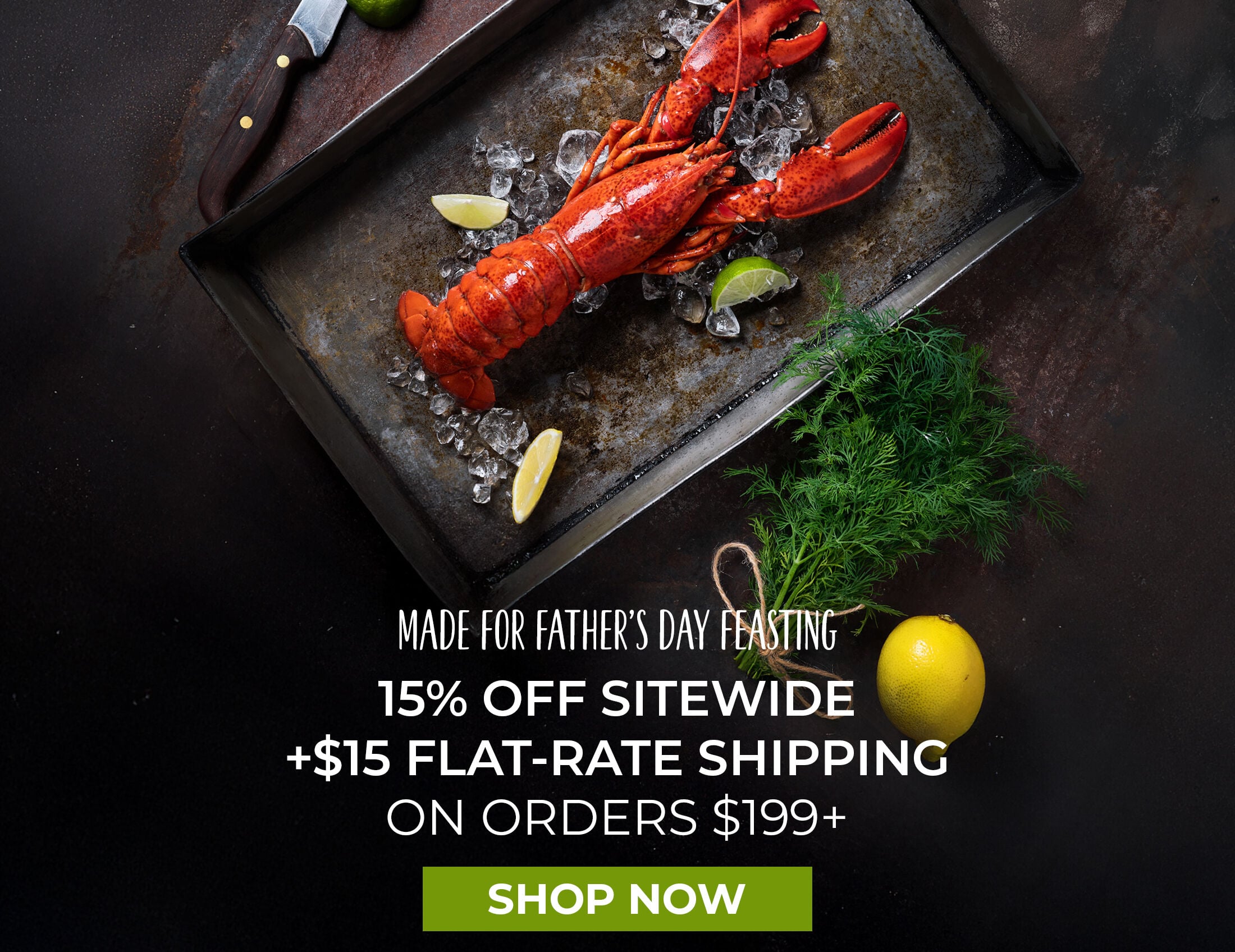 Made for Father's Day Feasting.  15% off Sitewide + $15 Flat-Rate Shipping on Orders $199+. Shop Now