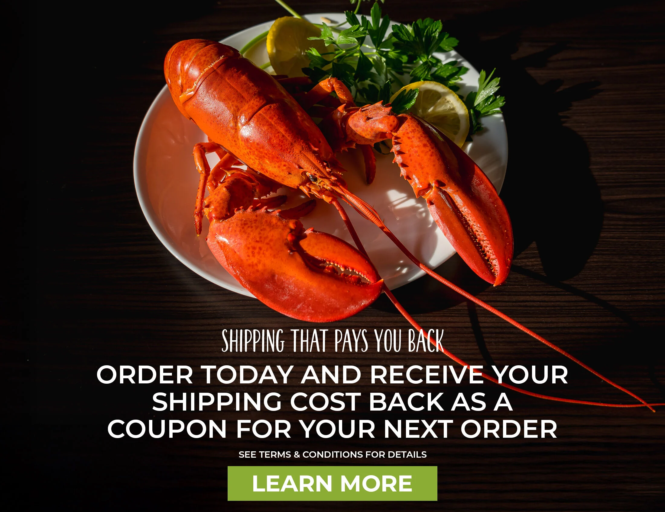 Shipping that pays you back.  Order Today and Receive your shipping cost back as a coupon for your next order.  See Terms & Conditions for Details.  Learn More.