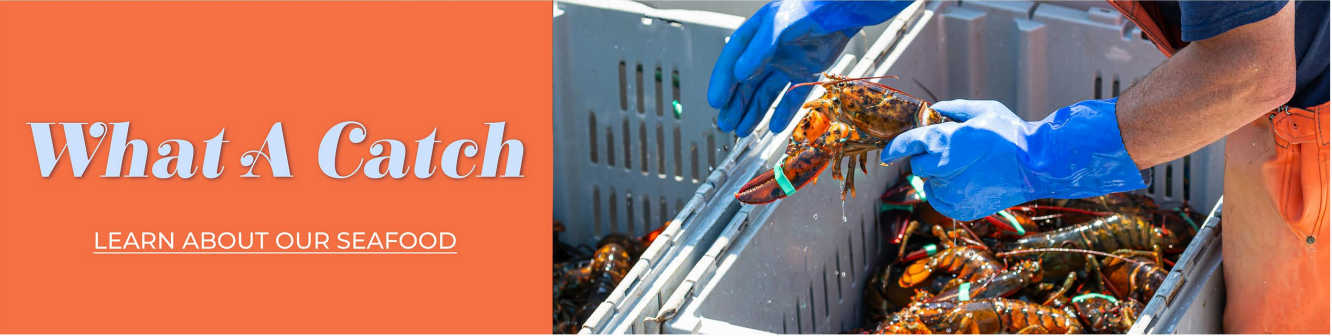 What a Catch. Learn about our Seafood.