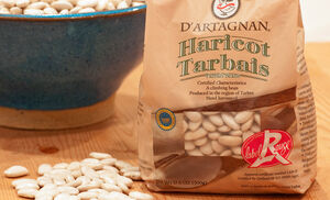 All About Tarbais Beans- Our Products – Dartagnan.com