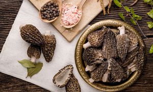 More About Morel Mushrooms- Our Products – Dartagnan.com