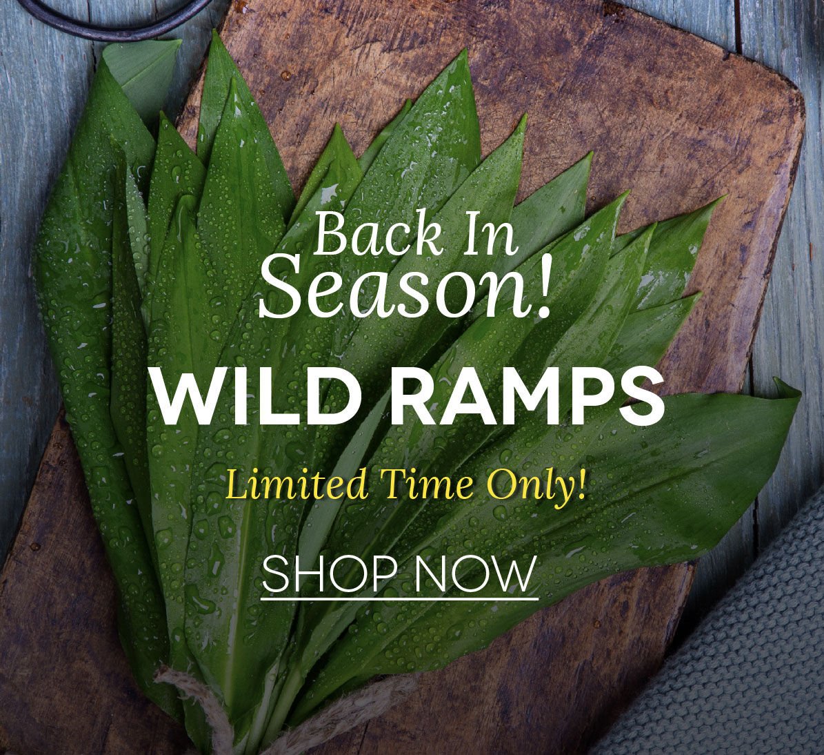 Wild ramps are back in stock