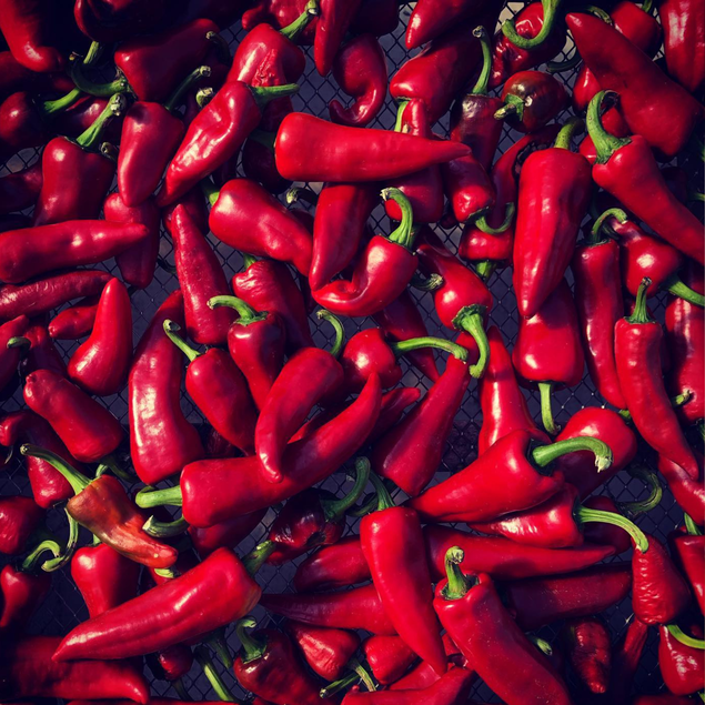 La Maison Piment d'Espelette, AOP image number 3