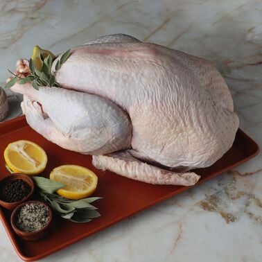 Heritage Turkey (Narragansett, Bourbon Red)