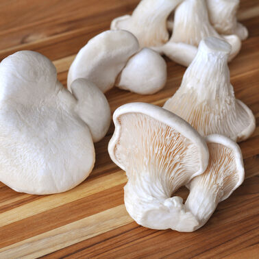 Organic Nebrodini Bianco Mushrooms
