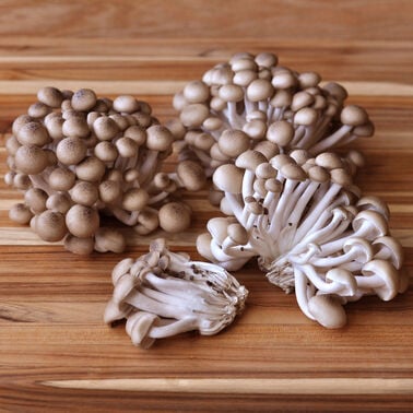 Organic Hon-Shimeji Mushrooms