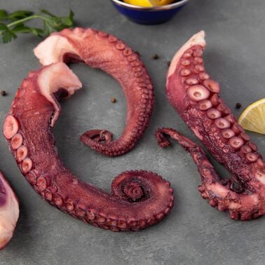 Wild Spanish Octopus