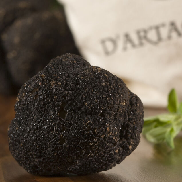 Fresh Summer Truffle (Tuber Aestivum) image number 1