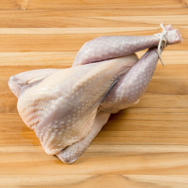 Guinea Hen, Whole image number 0