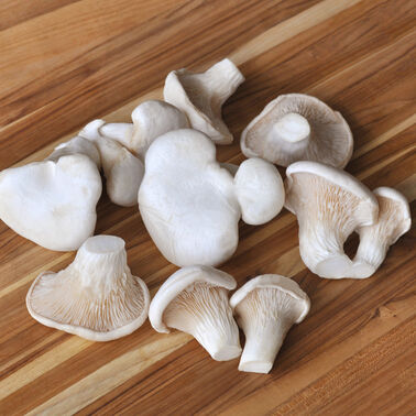 Organic Nebrodini Bianco Mushrooms
