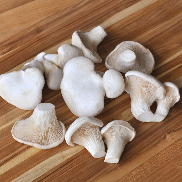 Organic Nebrodini Bianco Mushrooms image number 1