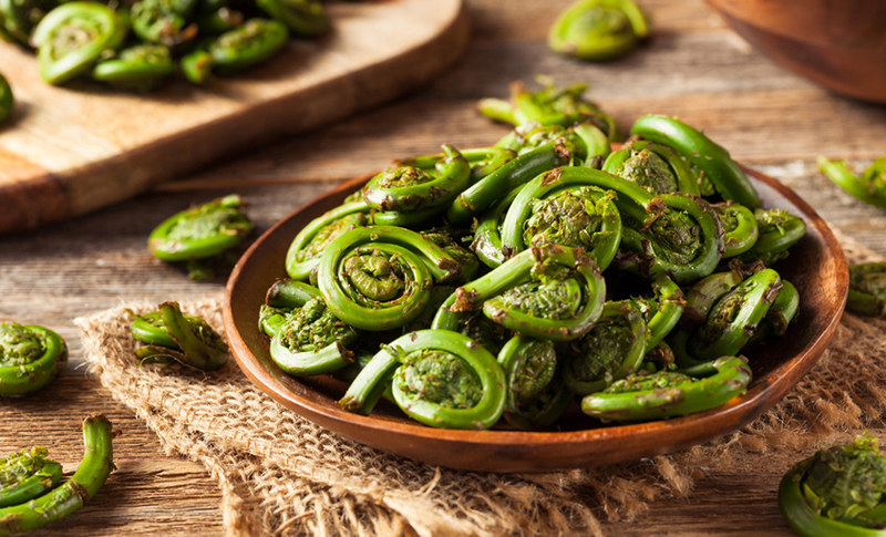 How To Cook Fiddleheads: Fiddlehead Fern Recipes | D'artagnan