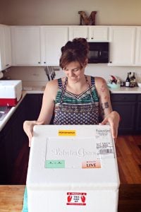 Lobster Gram Package