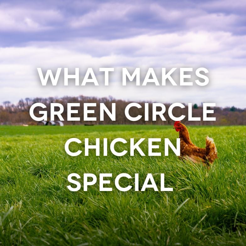 What Makes Green Circle Chicken Special 