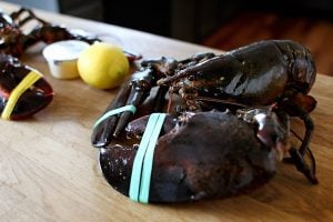 Big Daddy Lobster Claws