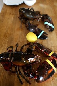 Big Daddy Lobsters