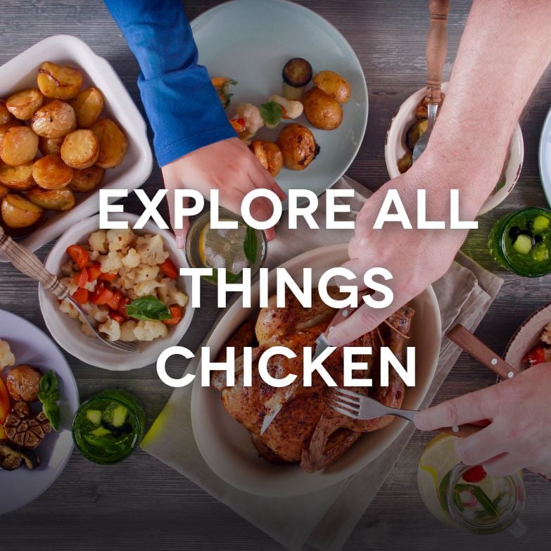 EXPLORE ALL THINGS CHICKEN