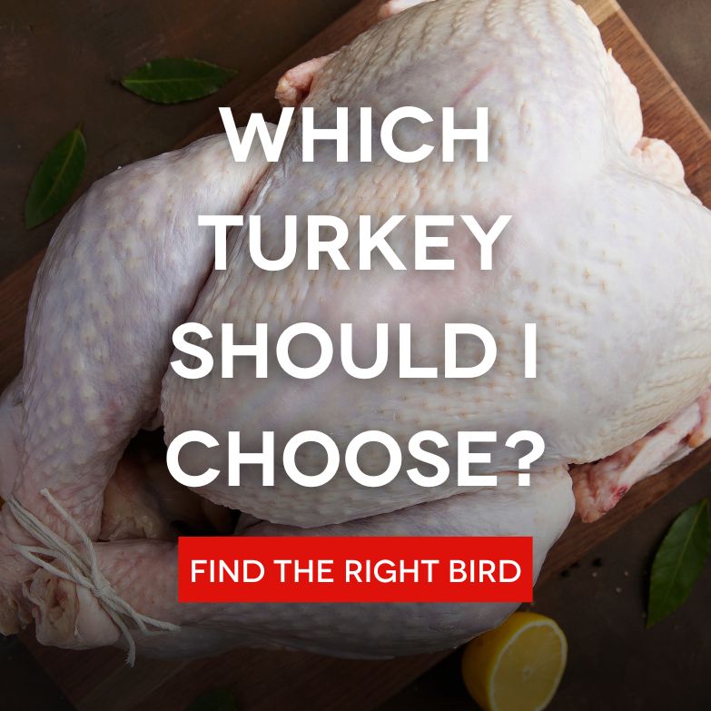 Exploring Thanksgiving Fresh Turkey and Holiday Bird Options