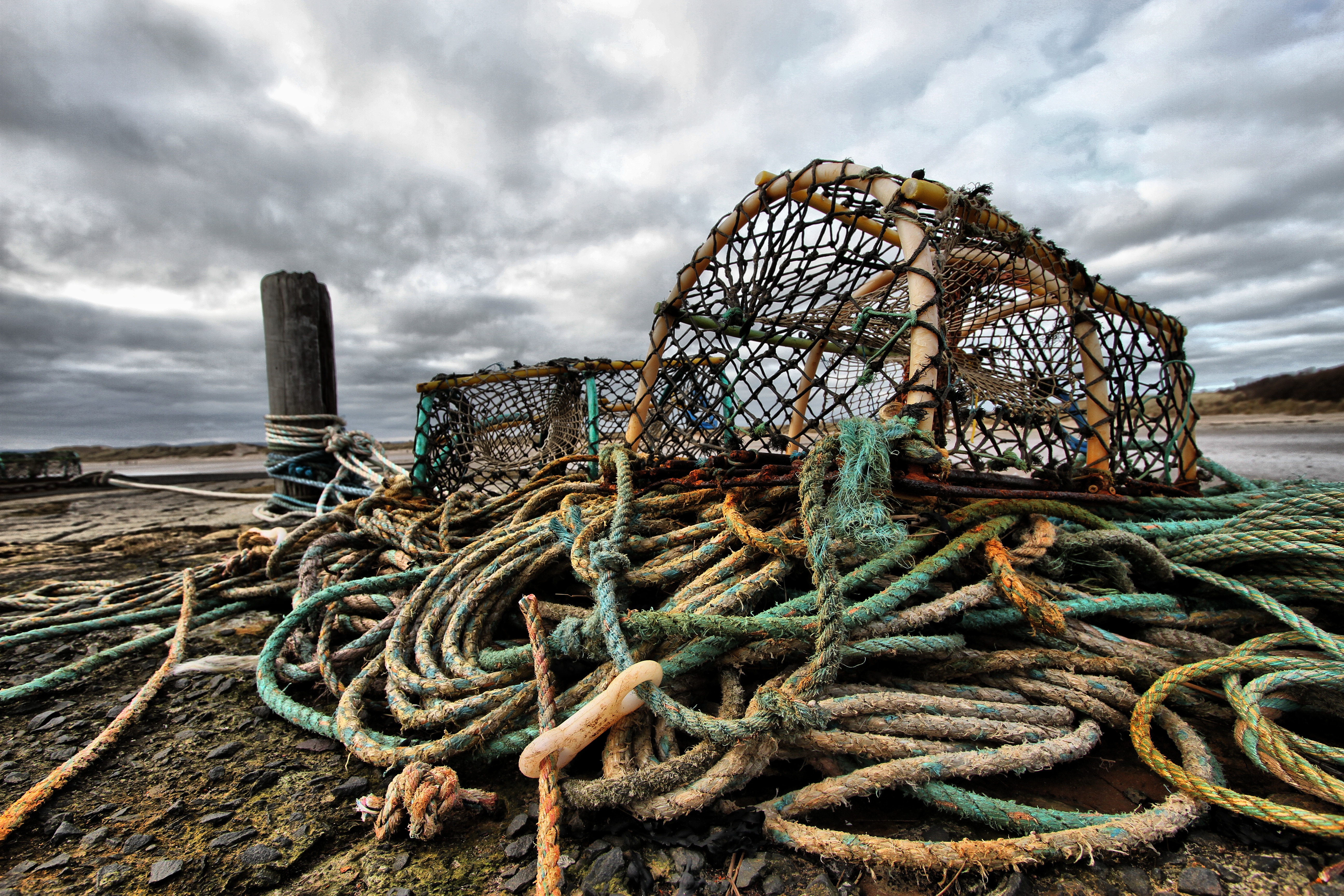 sustainability and fishing