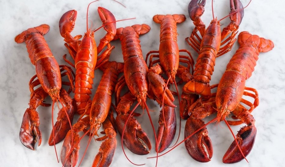 Just The Lobsters flat
