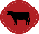 D'Artagnan Logo