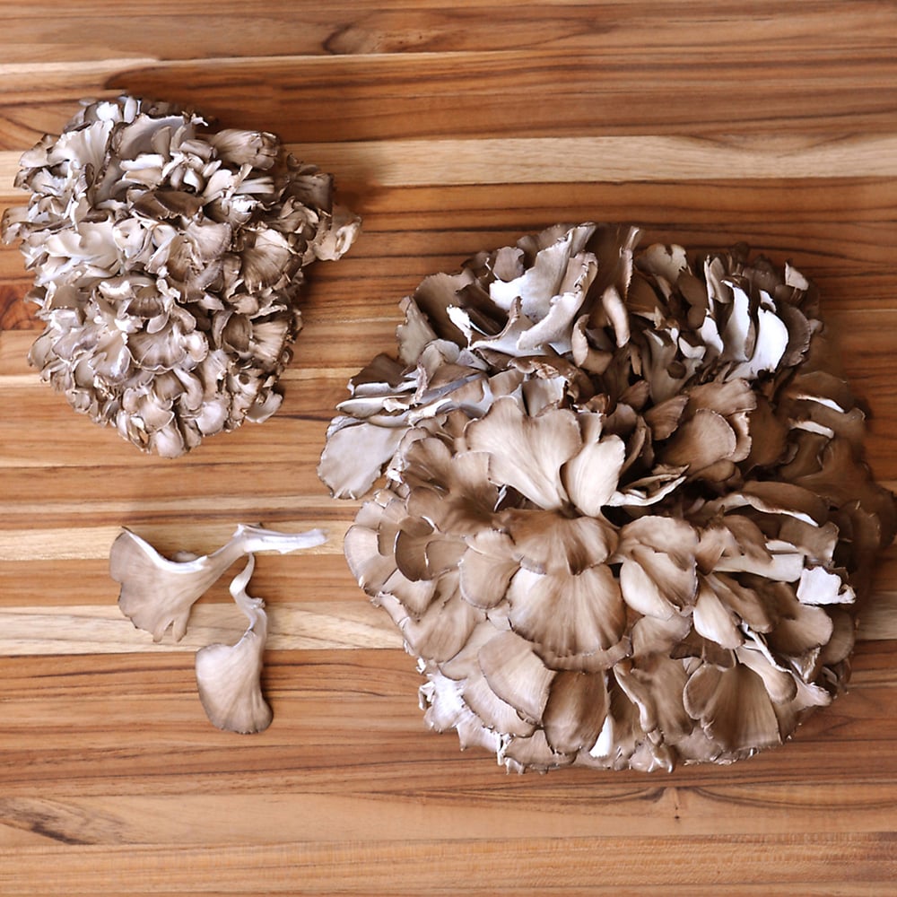 Organic Maitake (Hen of the Woods) Mushrooms: Fresh / 3 lbs avg. each (Domestic) by D'Artagnan