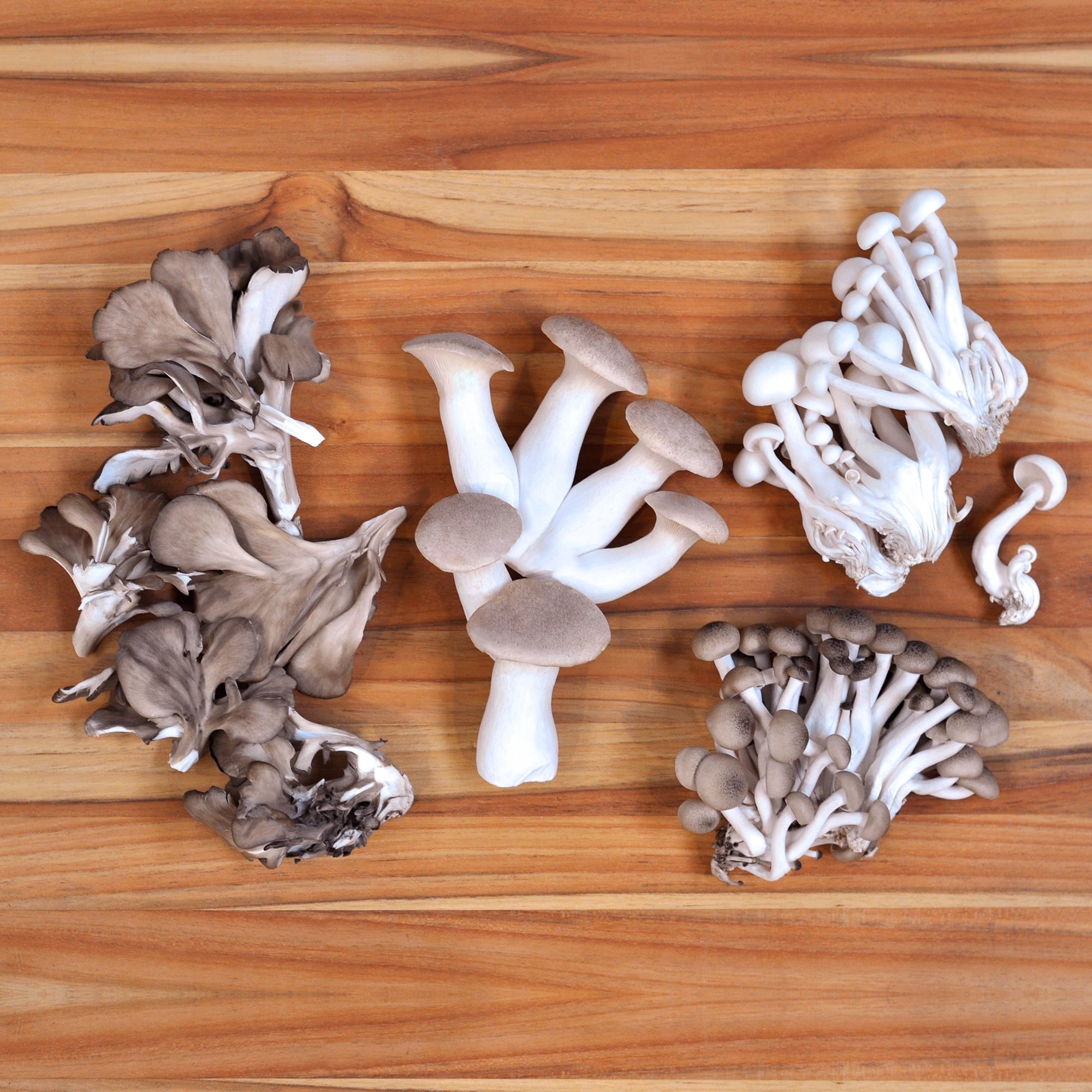 Organic Chef's Mix Mushrooms: Fresh / 1 lb avg. each (Mix of Trumpet Royale, White Beech, Hon-shimeji, Maitake) by D'Artagnan
