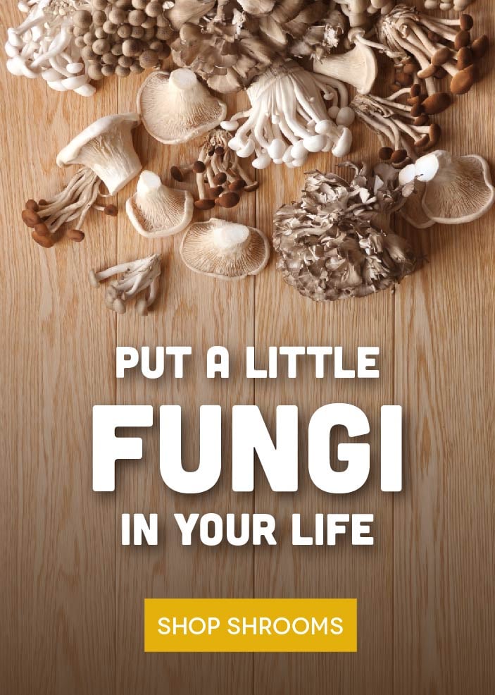 Shop Fresh Mushrooms